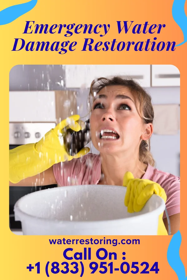 Emergency Water Damage Restoration in Sumter, SC