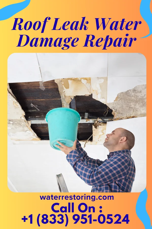 Roof Leak Water Damage Repair in Sumter, SC