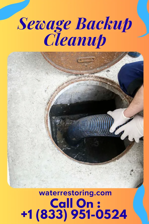 Sewage Backup Cleanup in Sumter, SC