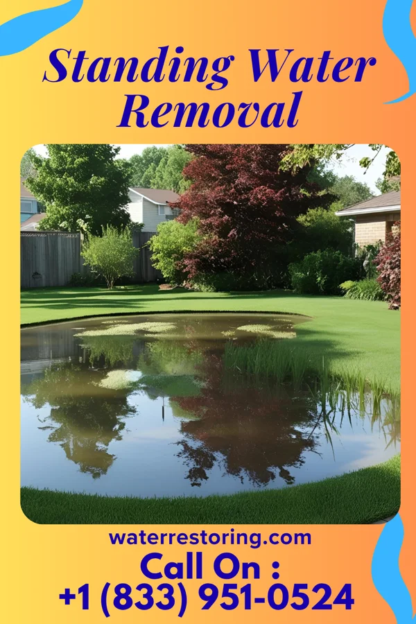 Standing Water Removal in Sumter, SC
